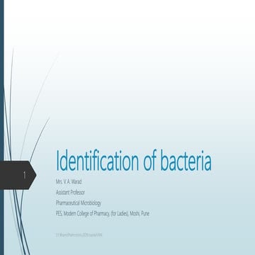 Identification of bacteria