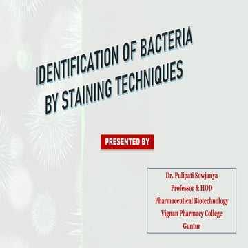 Identification of bacteria by staining techniques