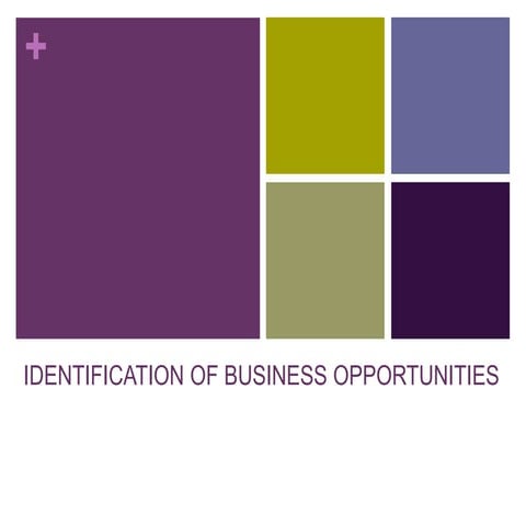 IDENTIFICATION OF BUSINESS OPPORTUNITIES