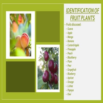 Horticulture - Identification of fruits crops. 
