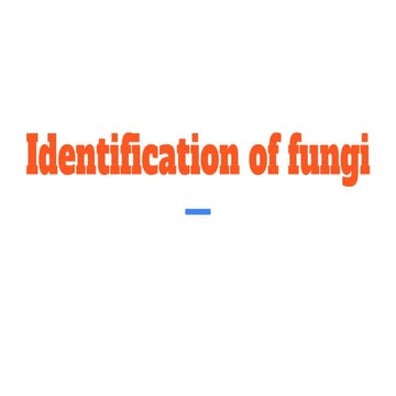 Identification of fungi.pptx
