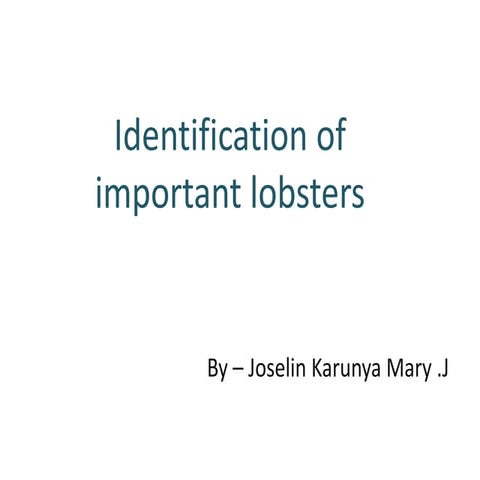 Identification of important lobsters
