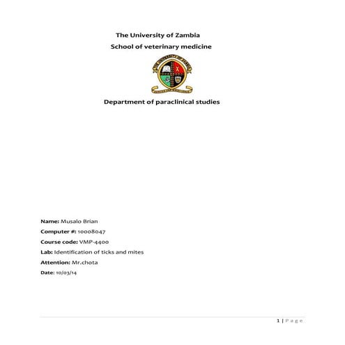 Identification of insects