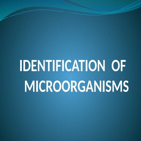 IDENTIFICATION OF MICROORGANISMS (Methods for identifying microbes).pptx