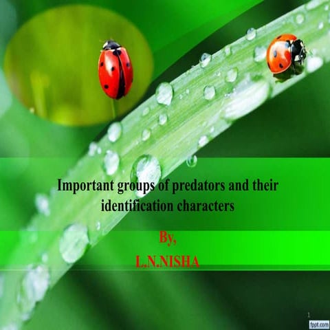 Identification of predators ppt