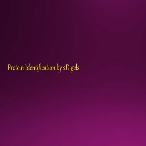 Identification of proteins by 2D gel