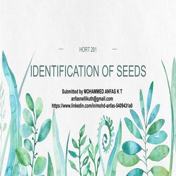 IDENTIFICATION OF VEGETABLE SEEDS