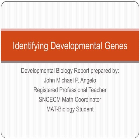 Identifying developmental genes   dev't biology