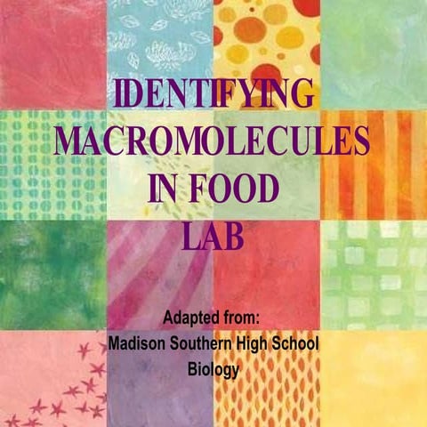 Identifying Macromolecules In Food
