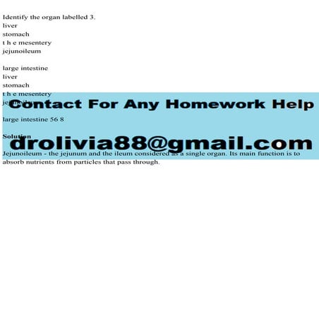 Identify the organ labelled 3.liverstomacht h e mesenteryjej.pdf