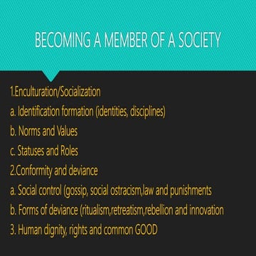 Understanding Culture, Society and Politics