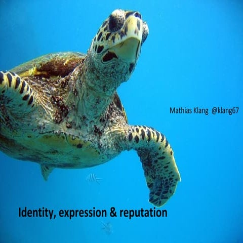 Identity, expression & reputation
