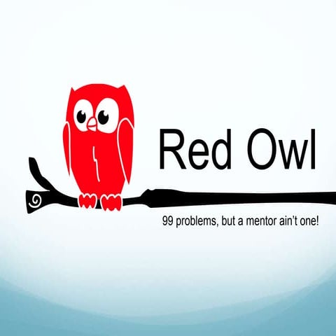 Ideo Pitch of Red Owl at the iLab @ Harvard