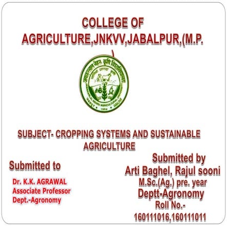 Ideotype and cropping system of rajul and arti ppt