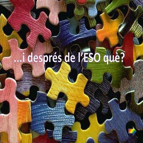 I després de l'eso, què