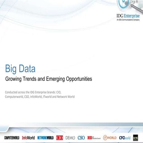 2014 Big Data Research by IDG Enterprise