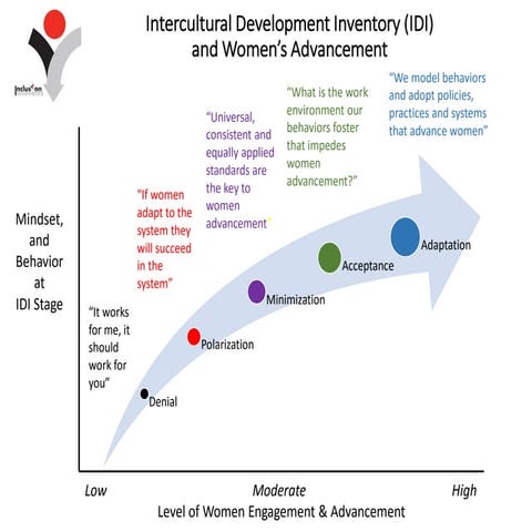 Intercultural Competence and Women's Advancement