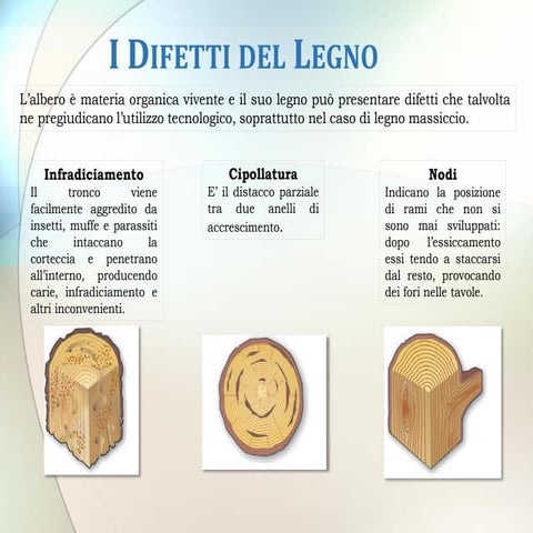 I difetti del legno | PDF