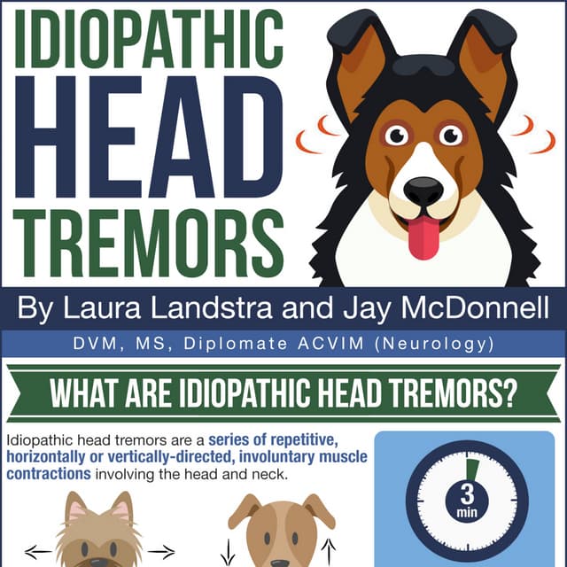 Why Does My Dog Have Head Tremors