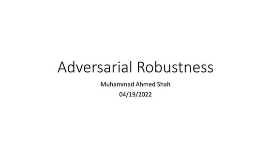 adversarial robustness lecture