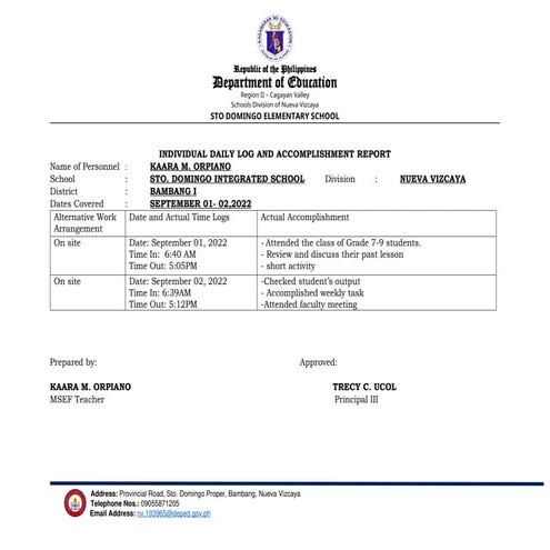 INDIVIDUAL DAILY LOG AND ACCOMPLISHMENT REPORT | DOCX
