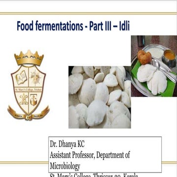Food Fermentations - Part III - Idli fermentation