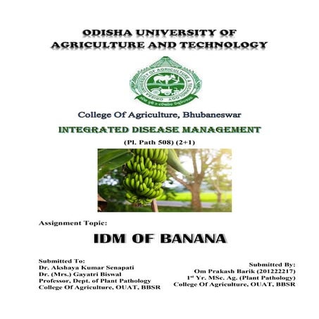 IDM of Banana.pdf