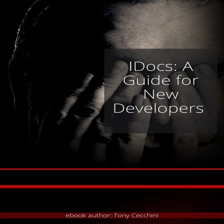 IDoc_Guide.pdf