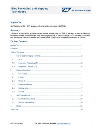 I doc packaging and mapping techniques.doc