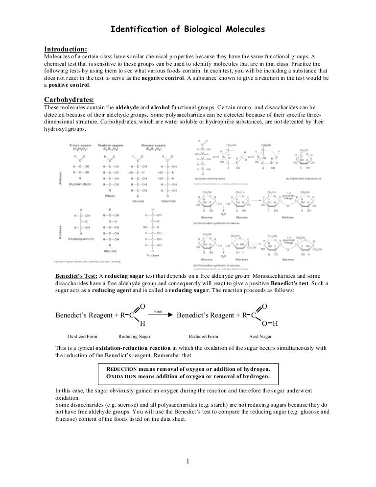 Id of biological molecules lab