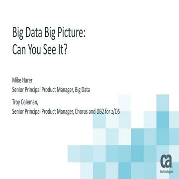 Big Data, Big Picture: Can You See It?
