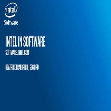 IDZ Diversity Meetup - Beatrice Fraedrich