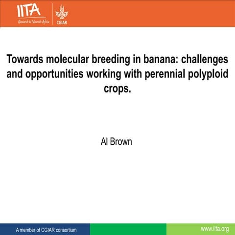 Towards molecular breeding in banana: challenges and opportunities working wi...
