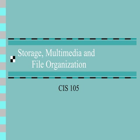 Ie   Storage, Multimedia And File Organization