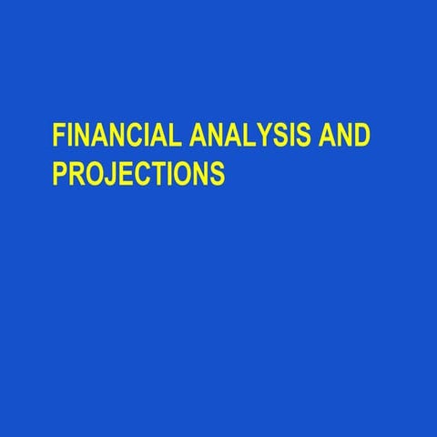 IE 445 Chapter Lecture 8-Finance 2024.pdf