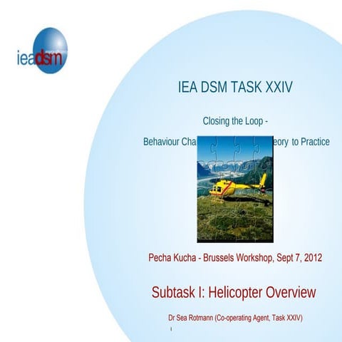 IEA DSM Pecha Kucha Brussels workshop