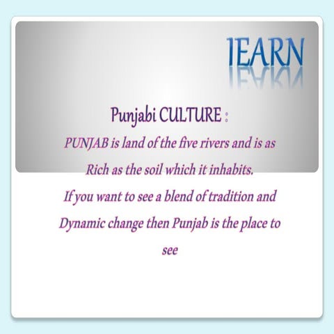 Iearn(punjab group)
