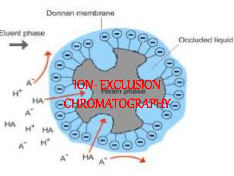 IONEXCLUSION CHROMATOGRAPHY