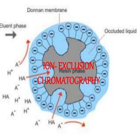 ION-EXCLUSION CHROMATOGRAPHY