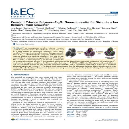 Covalent Triazine Polymer–Fe3O4 Nanocomposite for Strontium Ion Removal from ...