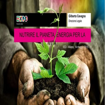 un caso particolare: Expo
