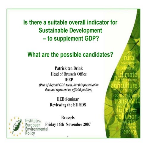 IEEP Patrick ten Brink Presentation on Beyond Gdp Indicators at the EEB  SDS ...