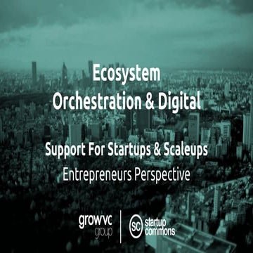 Support for Startups & Scaleups