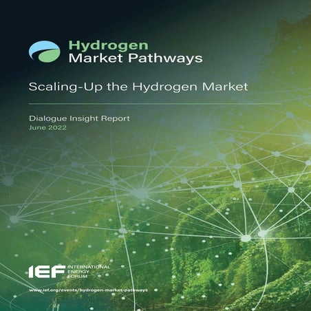 The Role of Renewable Hydrogen in Clean Energy Transitions: Dr Ilkka ...