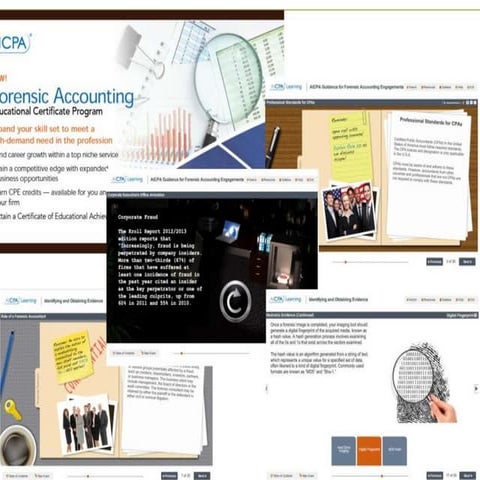 Best of dev learn 2014 forensic accounting