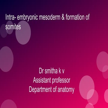Intra-Embryonic Mesoderm (General Embryology) | PPSX