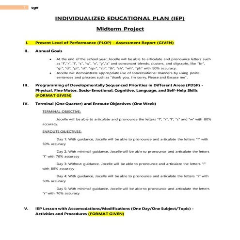 Individualized Educational Plan (IEP)