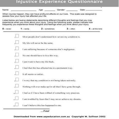 Injustice Experience Questionnaire | PDF