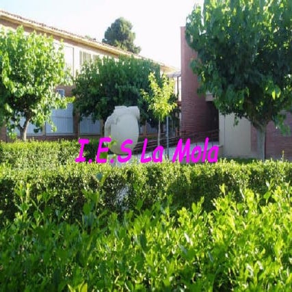 Ies la mola judith y virginia