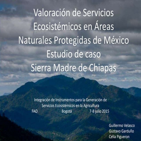 Integrated investments in the Sierra Madre ecosystem, Chiapas, Mexico